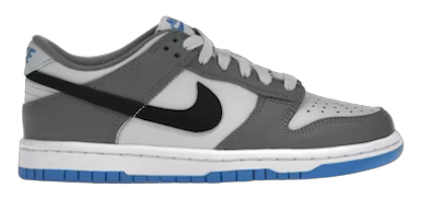 Nike Dunk Low Cool Grey Light Photo Blue